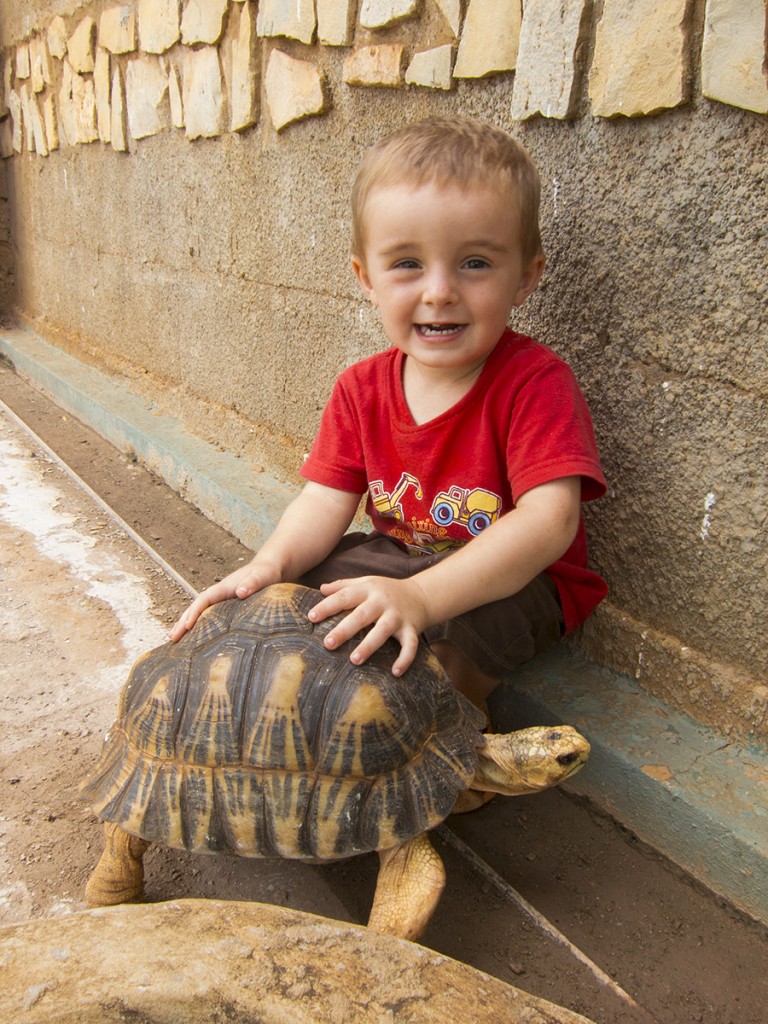 Matimu enjoying the pet turtle of some missionary friends in Diego - where we'll be spending our Christmas (while arranging things for the new boat).